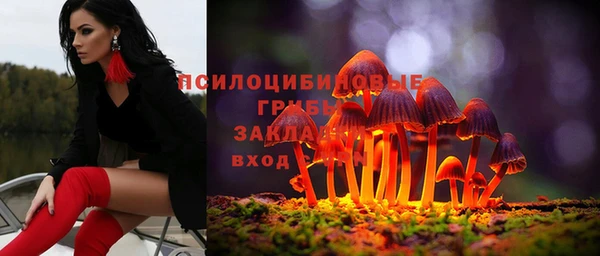 хмурый Богданович