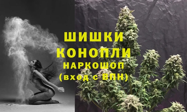 ГАЛЛЮЦИНОГЕННЫЕ ГРИБЫ Белоозёрский