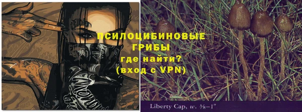 ГАЛЛЮЦИНОГЕННЫЕ ГРИБЫ Белоозёрский