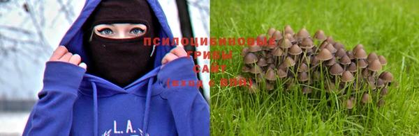 хмурый Богданович