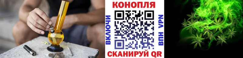 Шишки марихуана Amnesia Балтийск